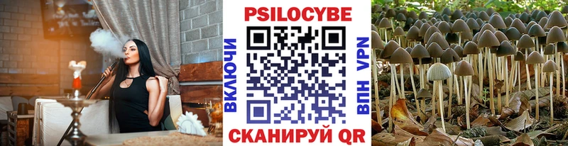 Псилоцибиновые грибы ЛСД  мега маркетплейс  Буинск 